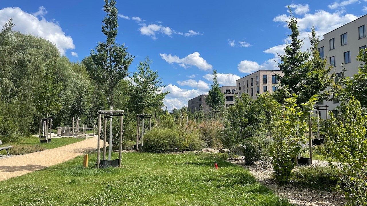 Naturerlebnisraum am Lindenauer Hafen mit Weg, Wiese und jungen Bäumen