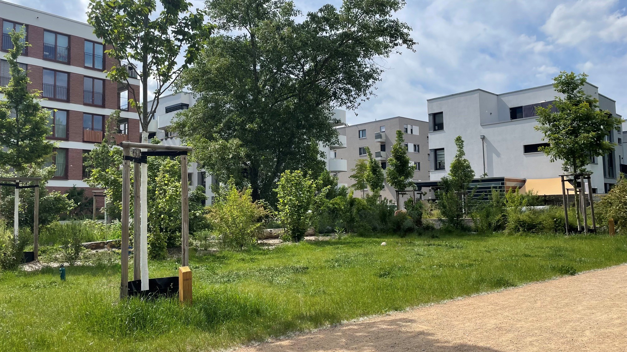 Naturerlebnisraum am Lindenauer Hafen mit Pflanzungen und angrenzenden Wohnhäusern